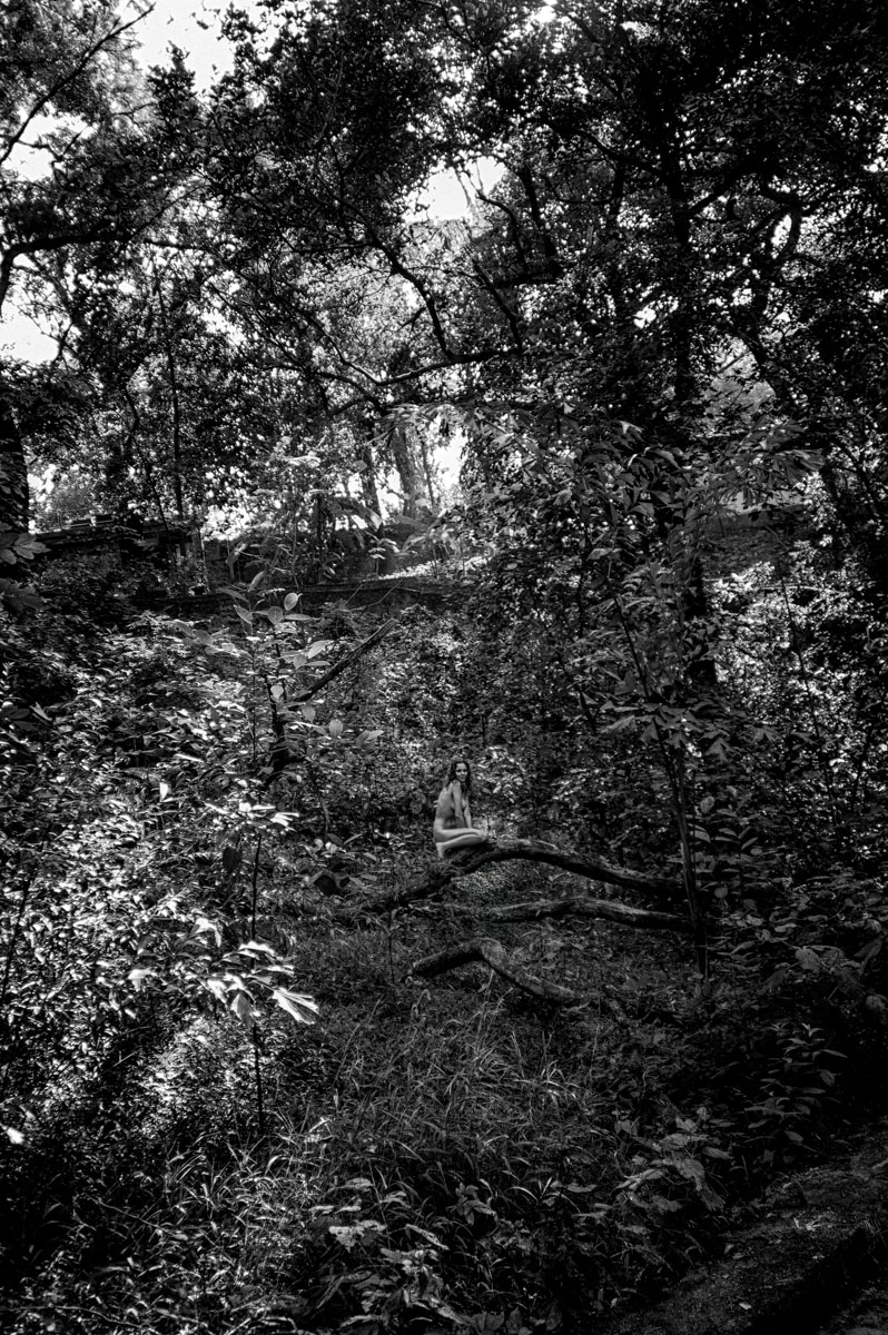 Vikram Bawa_Whispers of Eden_5007